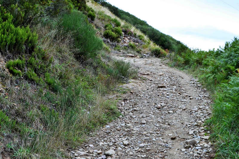 Triacastela, Camino © Ramón Fernández